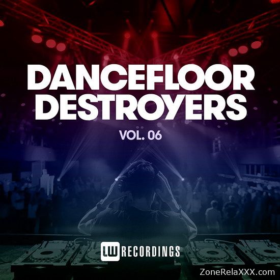 Dancefloor Destroyers Vol. 06