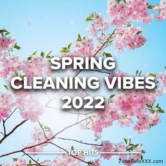 Spring Cleaning Vibes 2022