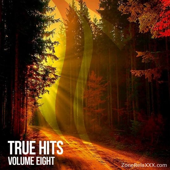 True Hits Vol. 8