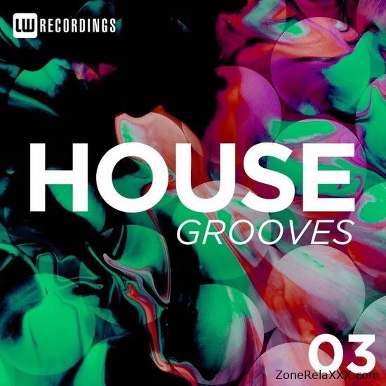 House Grooves Vol. 03