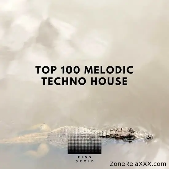 Top 100 Melodic Techno House