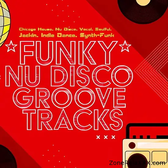 Funky Groove Nu Disco Live Hits